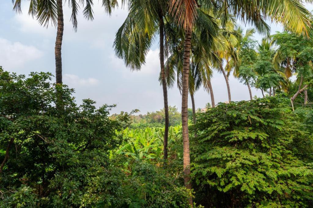 Saptami Hampi Homestay Exteriér fotografie