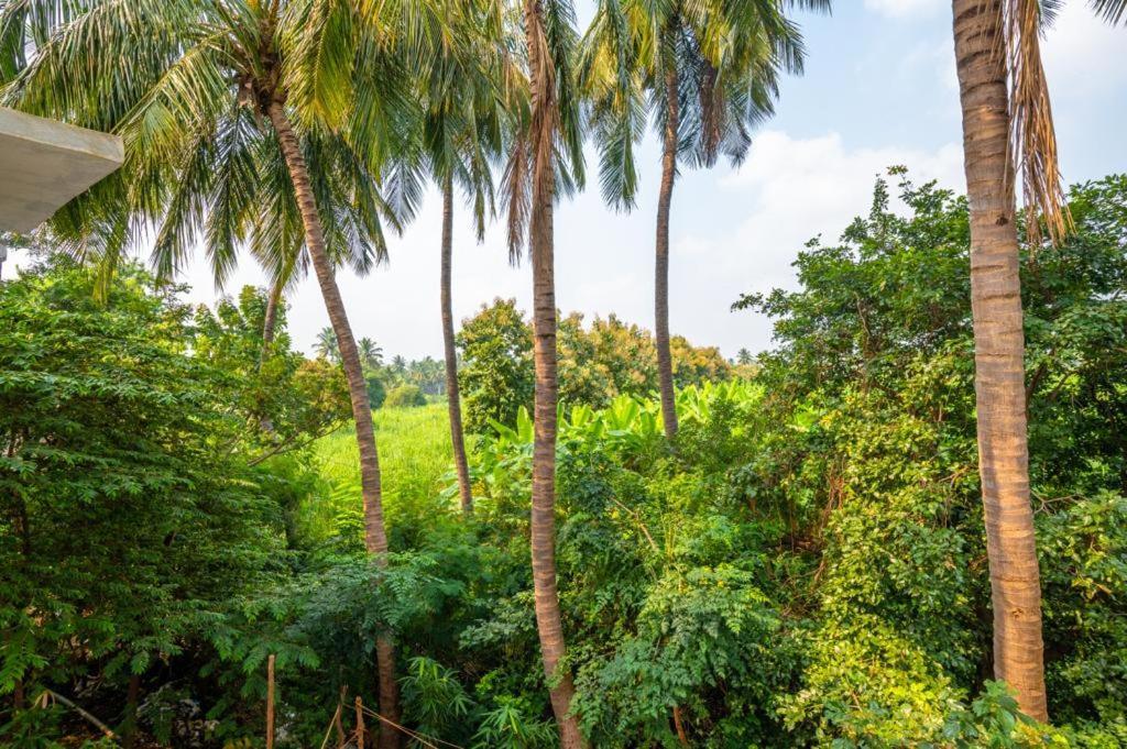 Saptami Hampi Homestay Exteriér fotografie